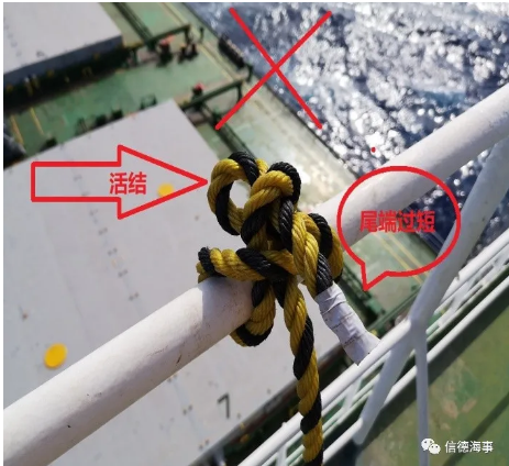 1609121296582920.png 圖片.png